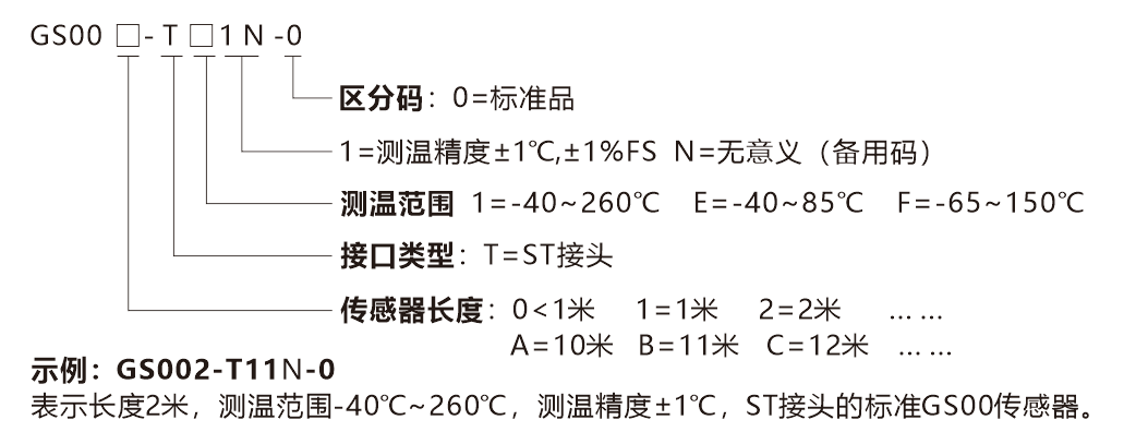 GS00-選型說明 GS00-選型說明