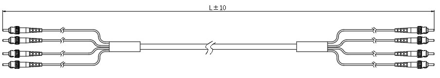 ECM4外形結構 ECM4外形結構